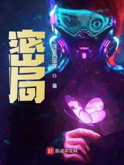 密局全文免费完整版阅读_陈明翔,陆琨瑜_密局最新章节更新全集