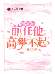 【主角蒋听言易天瑞】被渣后，前任他高攀不起txt全集阅读