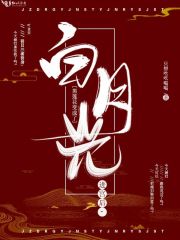 进宫后，黑莲花变成了白月光全文免费完整版阅读_苏承楹,叶言安_进宫后，黑莲花变成了白月光最新章节更新全集