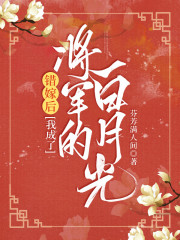 错嫁后，我成了将军的白月光全文免费完整版阅读_慕容清,裴陌_错嫁后，我成了将军的白月光最新章节更新全集