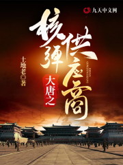 【主角王野小翠】大唐之核弹供应商txt全集阅读