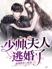 【主角顾白锦齐萧白】少帅，夫人逃婚了txt全集阅读