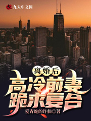 离婚后，高冷前妻跪求复合全文免费完整版阅读_沈清雅,林七夜_离婚后，高冷前妻跪求复合最新章节更新全集