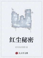 红尘秘密全文免费完整版阅读_佚名_红尘秘密最新章节更新全集