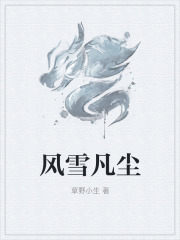 风雪凡尘全文免费完整版阅读_冬郎,叶红_风雪凡尘最新章节更新全集