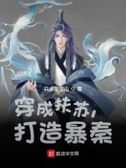 穿成扶苏，打造暴秦全文免费完整版阅读_刘邦,项羽_穿成扶苏，打造暴秦最新章节更新全集
