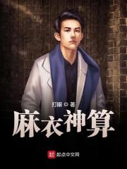 【主角叶天于清雅】麻衣神算txt全集阅读