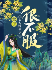 【主角沈易佳宋璟辰】世子，夫人她表示很不服！txt全集阅读