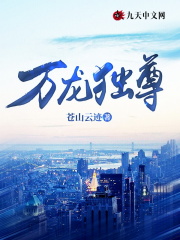 【主角叶龙柳妙依】万龙独尊txt全集阅读