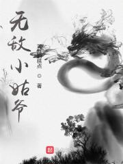 【主角沈峰徐芊芊】无敌小姑爷txt全集阅读