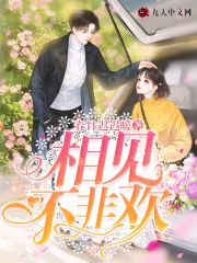 【主角叶安清言衡】不见青梅txt全集阅读
