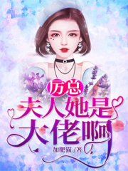 【主角苏暖厉盛霆】厉总，夫人她是大佬啊！txt全集阅读
