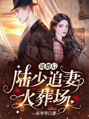 【主角岑音陆霆煜】离婚后，陆少追妻火葬场！txt全集阅读