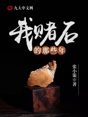【主角张策李梦棠】我赌石的那些年txt全集阅读