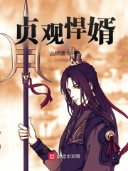 【主角秦怀道李二】贞观悍婿txt全集阅读