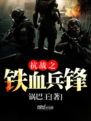 【主角岳锋宋大彪】铁血兵锋txt全集阅读