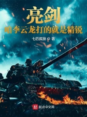 【主角李云龙楚云飞】亮剑：咱李云龙打的就是精锐txt全集阅读