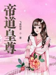 【主角郑铭雨化田】帝道皇尊txt全集阅读