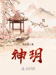 【主角百里流月君如玉】神玥txt全集阅读