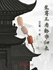 【主角叶冷风安雨嘉】至尊王者都市归来txt全集阅读