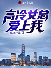 【主角陈枫叶云娴】高冷女总爱上我txt全集阅读