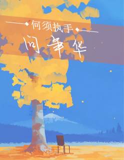 【主角陆蔓薄寒辞】何须执手问年华txt全集阅读