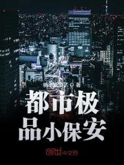 【主角张易许嘉允】都市极品小保安txt全集阅读