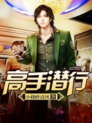 【妙手作家小楼醉清风】高手潜行txt全集阅读
