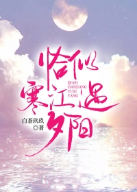 恰似寒江遇夕阳全文免费完整版阅读_白茶玖玖_恰似寒江遇夕阳最新章节更新全集