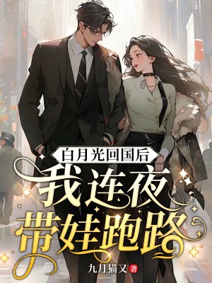 颜舒沈迟欲白月光回国后，我连夜带娃跑路小说最新章节全文免费阅读_白月光回国后，我连夜带娃跑路【作者九月猫又】小说最新目录
