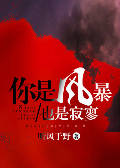 你是风暴，也是寂寥全文免费完整版阅读_听风于野_你是风暴，也是寂寥最新章节更新全集