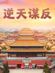 逆天谋反全文免费完整版阅读_陈平安,徐达_逆天谋反最新章节更新全集