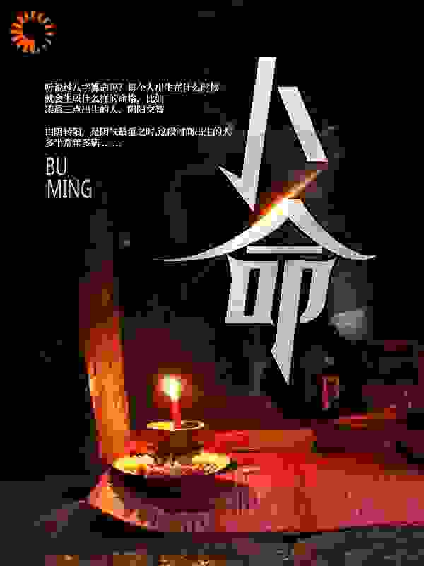 卜命全文免费完整版阅读_木灶灵_卜命最新章节更新全集