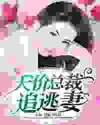 天价总裁追逃妻全文免费完整版阅读_文紫飞扬_天价总裁追逃妻最新章节更新全集