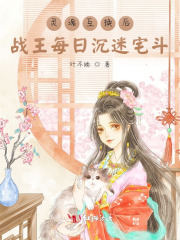 灵魂互换后，战王每日沉迷宅斗全文免费完整版阅读_叶不晚_灵魂互换后，战王每日沉迷宅斗最新章节更新全集
