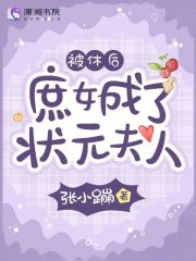 被休后，庶女成了状元夫人全文免费完整版阅读_张小蹦_被休后，庶女成了状元夫人最新章节更新全集
