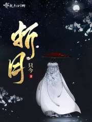 折月全文免费完整版阅读_只今_折月最新章节更新全集