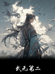 武无第二全文免费完整版阅读_天下归壹_武无第二最新章节更新全集