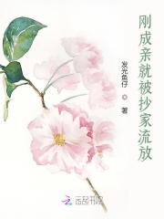 刚成亲就被抄家流放全文免费完整版阅读_发光鱼仔_刚成亲就被抄家流放最新章节更新全集