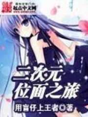 二次元位面之旅全文免费完整版阅读_用盲仔上王者_二次元位面之旅最新章节更新全集
