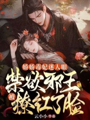 娇娇毒妃迷人眼，禁欲邪王被撩红了脸全文免费完整版阅读_沈安宁_娇娇毒妃迷人眼，禁欲邪王被撩红了脸最新章节更新全集