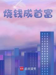 烧钱成首富全文免费完整版阅读_铁板土豆片_烧钱成首富最新章节更新全集