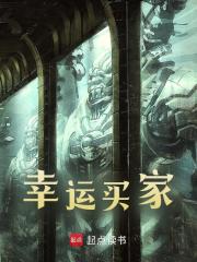 幸运买家全文免费完整版阅读_李宇_幸运买家最新章节更新全集