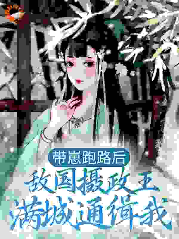带崽跑路后，敌国摄政王满城通缉我全文免费完整版阅读_木易华庭_带崽跑路后，敌国摄政王满城通缉我最新章节更新全集