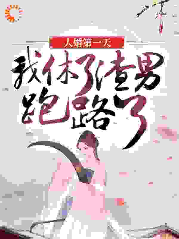 大婚第一天，我休了渣男跑路了全文免费完整版阅读_安芷兰_大婚第一天，我休了渣男跑路了最新章节更新全集