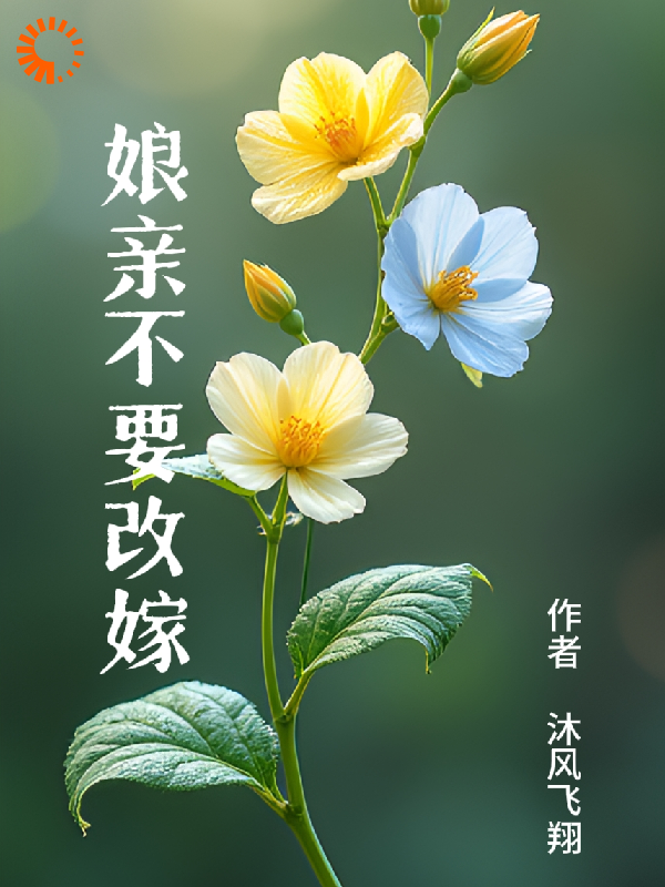娘亲不要改嫁全文免费完整版阅读_沐风飞翔_娘亲不要改嫁最新章节更新全集