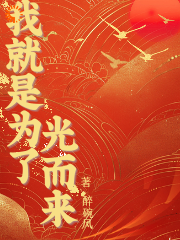 我就是为了光而来全文免费完整版阅读_醉碗风_我就是为了光而来最新章节更新全集