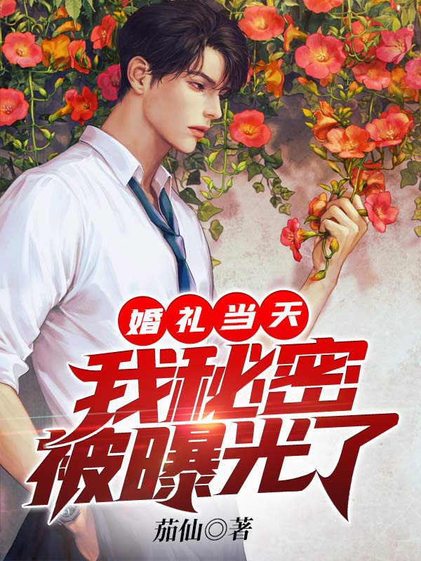 婚礼当天，我秘密被曝光了全文免费完整版阅读_茄仙_婚礼当天，我秘密被曝光了最新章节更新全集