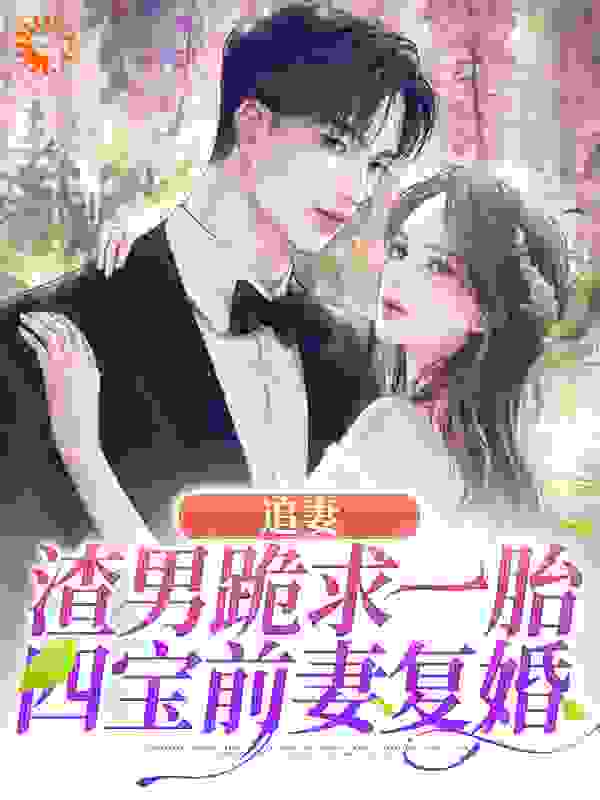 追妻：渣男跪求一胎四宝前妻复婚全文免费完整版阅读_林深见雾_追妻：渣男跪求一胎四宝前妻复婚最新章节更新全集