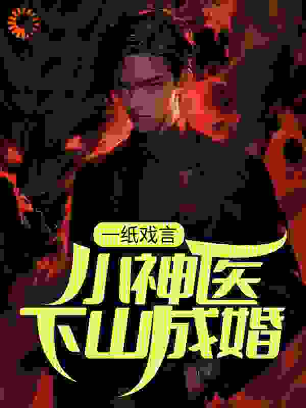 一纸戏言，小神医下山成婚全文免费完整版阅读_天师本师_一纸戏言，小神医下山成婚最新章节更新全集
